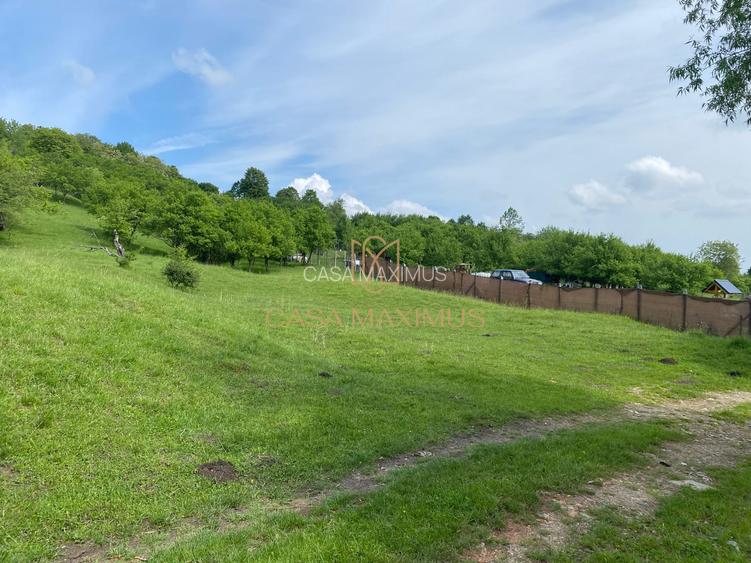 Teren de vânzare în Cisnădioara, aproape de cetate, cu priveliște superbă - 7