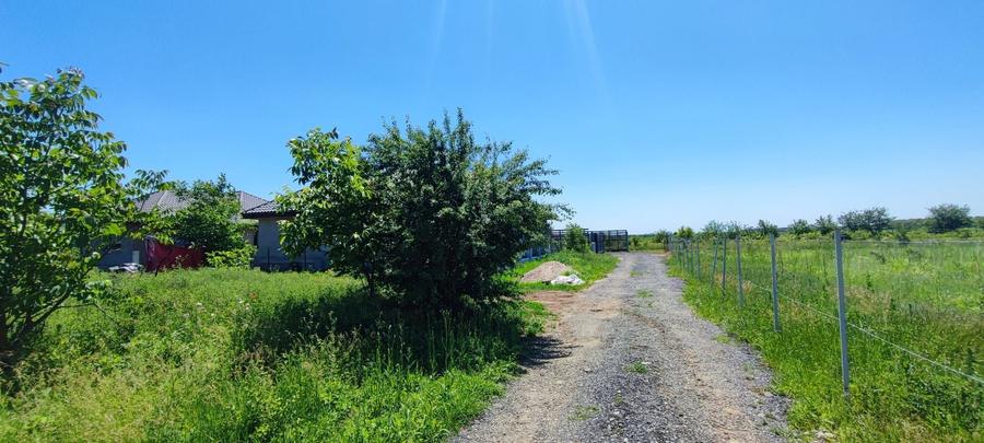 Lot pentru două case – Corbeanca Tamași