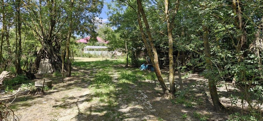 Casa si teren 3000 mp Naipu Giurgiu