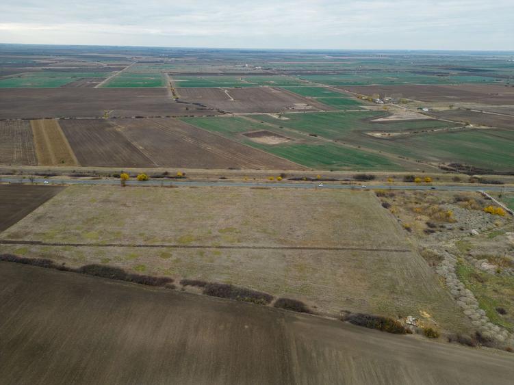 Teren 22.500 mp – Pecica, jud. Arad