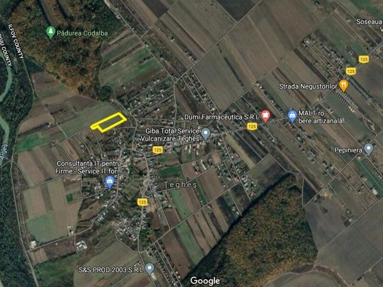 Domnesti-Teghes, 10000mp, 50X200, intravilan, acces 2 strazi, utilitati in zona