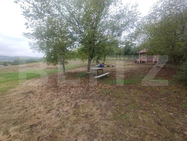 Teren 50 Ari cu Cabană, Utilități și Livadă – Oază de liniște! Beclean