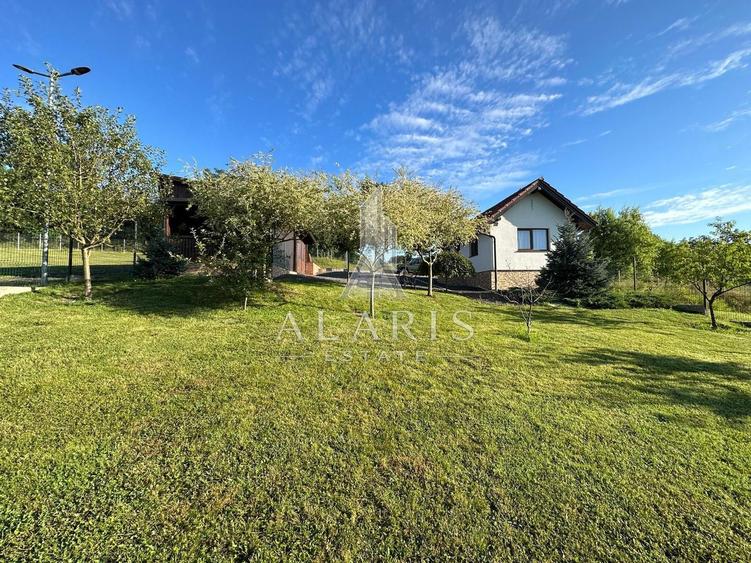 Domeniu privat, cu padure, cabana si teren de tenis, in Nadas