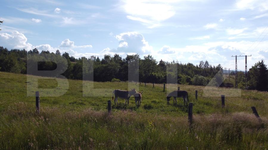 De vanzare teren Rasca - cu o panorama superba!