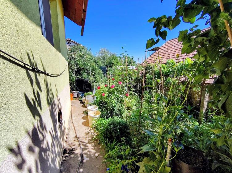 Casa unifamiliala 120 mp utili,  cu 477 mp teren, garaj, Dambul Rotund - 15