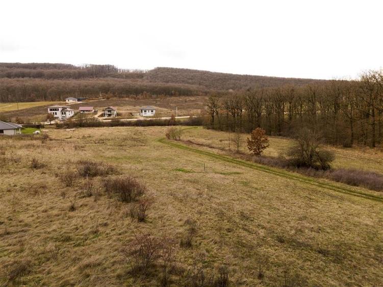 RECO teren intravilan Betfia – ideal pentru casa sau investitie