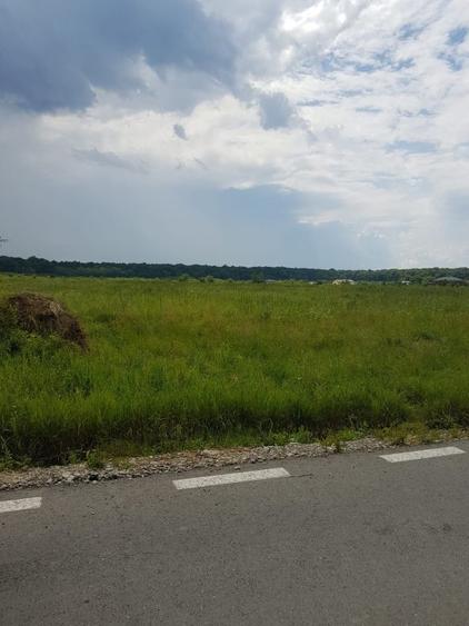 Teren de vanzare  7.400mp Ciolpani -Intravilan 300m de la DN1 -STRADA ASFALTATA