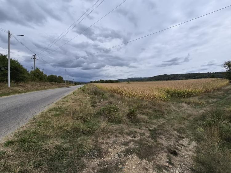 4 ha Drăghici–Mihăești | 3 ha teren + 1 ha pădure | asfalt |toate utilitățile