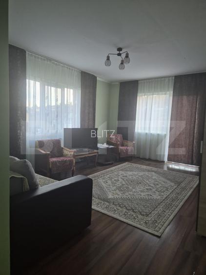 Casa spatioasa de vanzare in Sancrai cu 13 ari de teren - 8