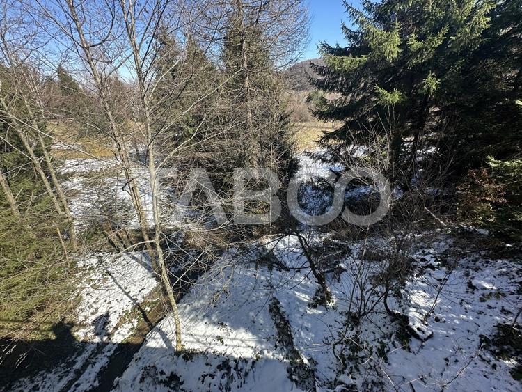 Teren extravilan 4600 mp cu acces la rau Satul de Vacanta Dejani