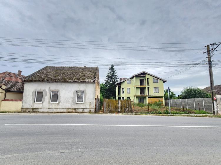Vand casa mare și teren mare în Peciu Nou - 2