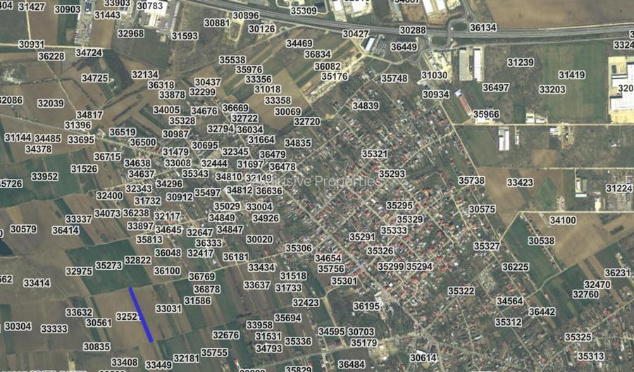 2 loturi de teren INTRAVILAN Bolintin-Deal 7800 mp și 2500 mp Preț negociabil - 3