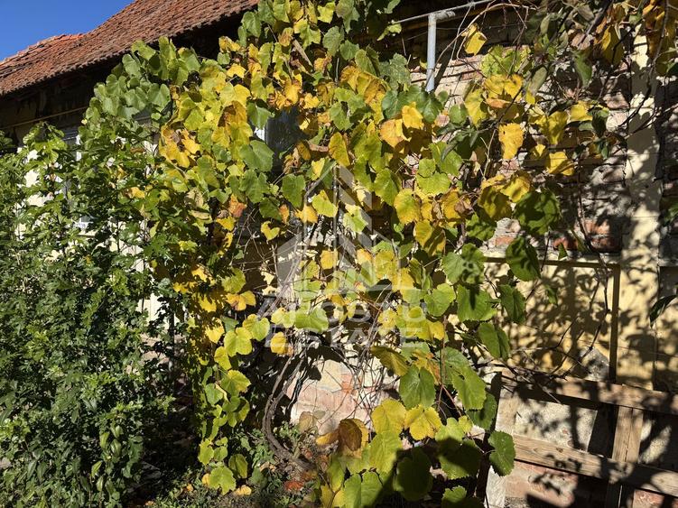 Casa veche in Recas cu teren generos de 1438 mp