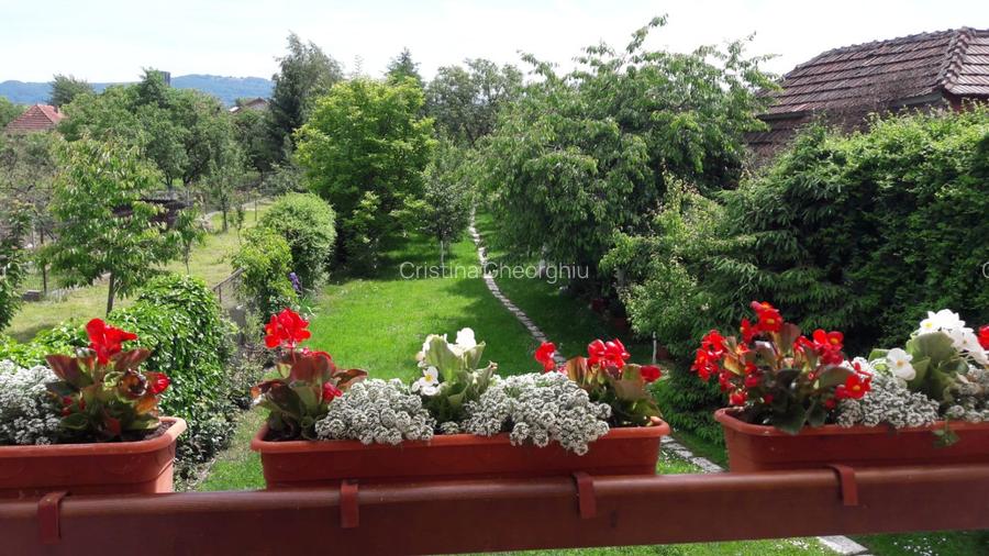 proprietar vand casa Negresti-Oas - 10