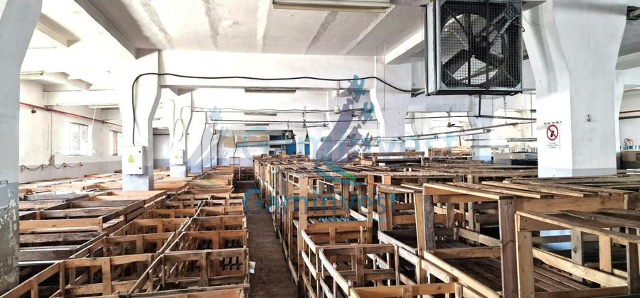 Hala de vanzare Productie Depozitare Calea Clujului Oradea