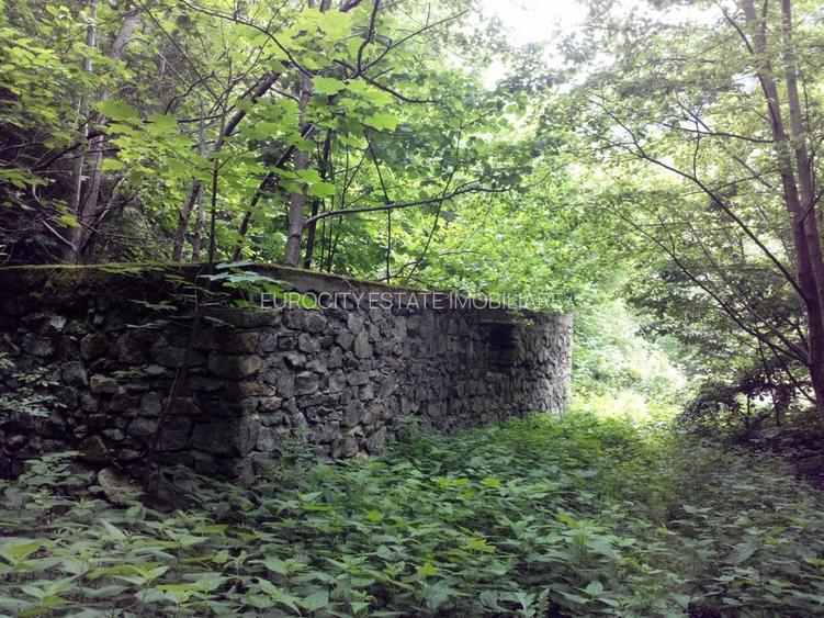 Proprietate rară în inima Retezatului – 5.700 mp teren intravilan - 14