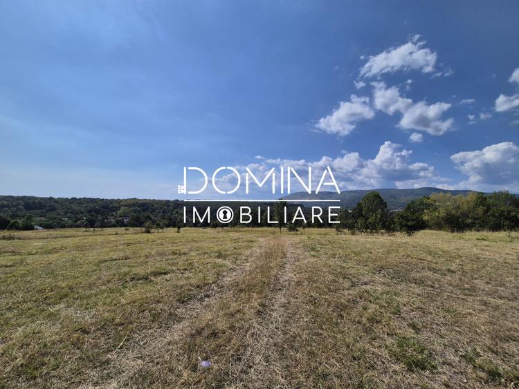 Vânzare teren 13.000 mp - Runcu-Suseni - oportunitate turistică