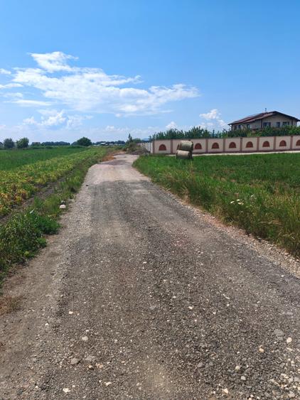 Teren Intravilan de vanzare