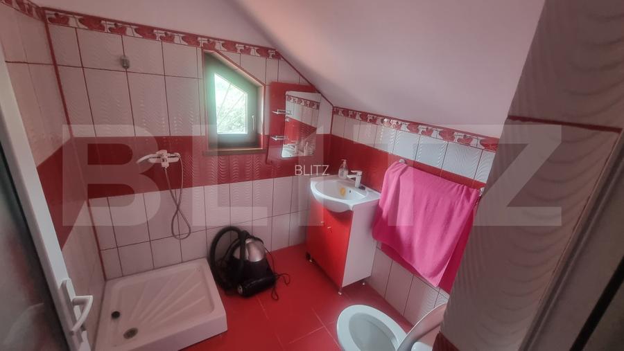 CASĂ P+M + TEREN 3.000 MP | BELCIUG, DRĂGĂNEȘTI | 3 KM DE A3 - 8