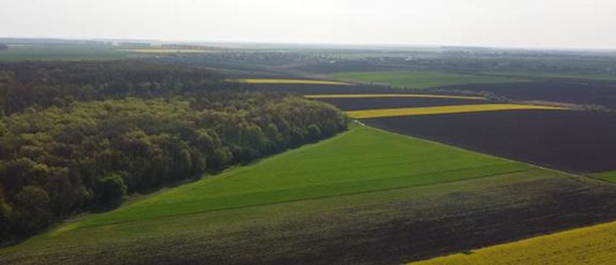 Vanzare Teren Central, Moara Vlasiei