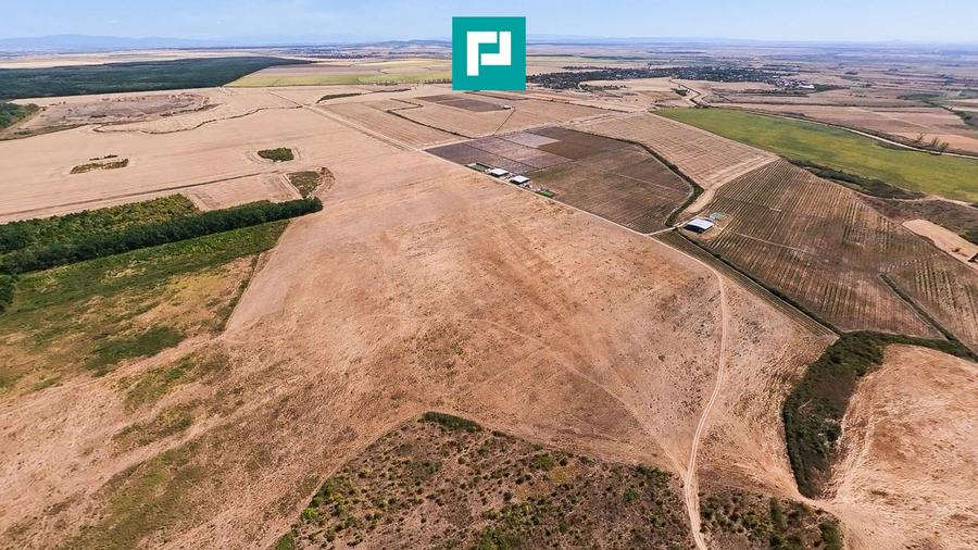 Teren intravilan agricol 558.500 mp Chevereșu Mare