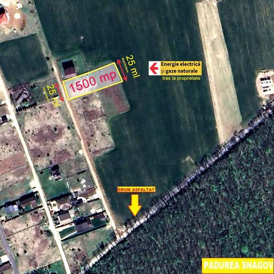 TEREN CONSTRUCTII-INTRAVILLAN-SUPERB-SNAGOV-PADURE-UTILITATI-PROIECT