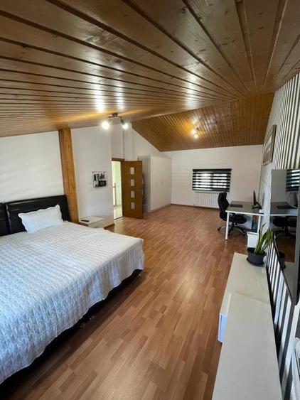Pantelimon-Cernica, vila cu 6 camere de vanzare, 284 mp construiti