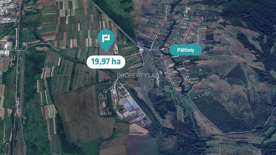 Teren extravilan agricol de 20 ha lângă Caransebes - 4