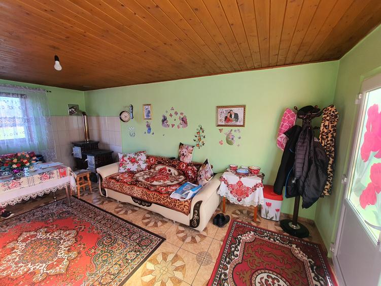 Casa de vanzare in Teliu