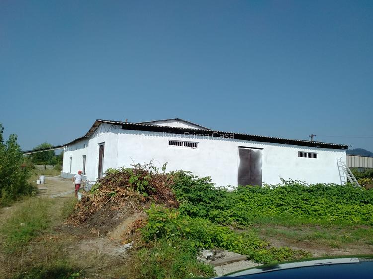 Hală industrială + teren 2.716 mp de vânzare în Baia Mare | Zonă industrială | - 13