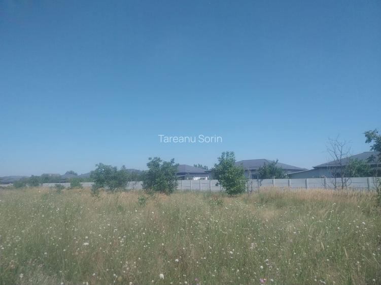 Drumul Targului -Domnesti -loturi de casa direct proprietar - 7