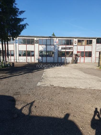Hala industriala de inchiriat pe Calea Bucuresti folosinta multipla - 9