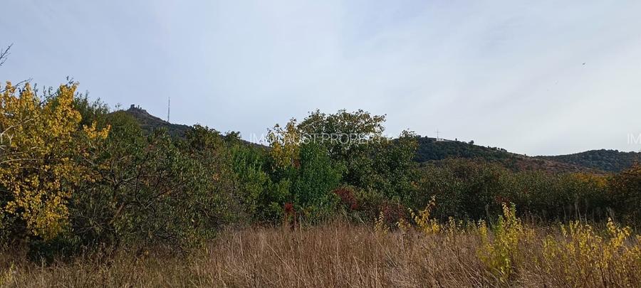🏡  Teren generos cu Casă de Poveste în Șiria, Arad- Locație Rară - 3