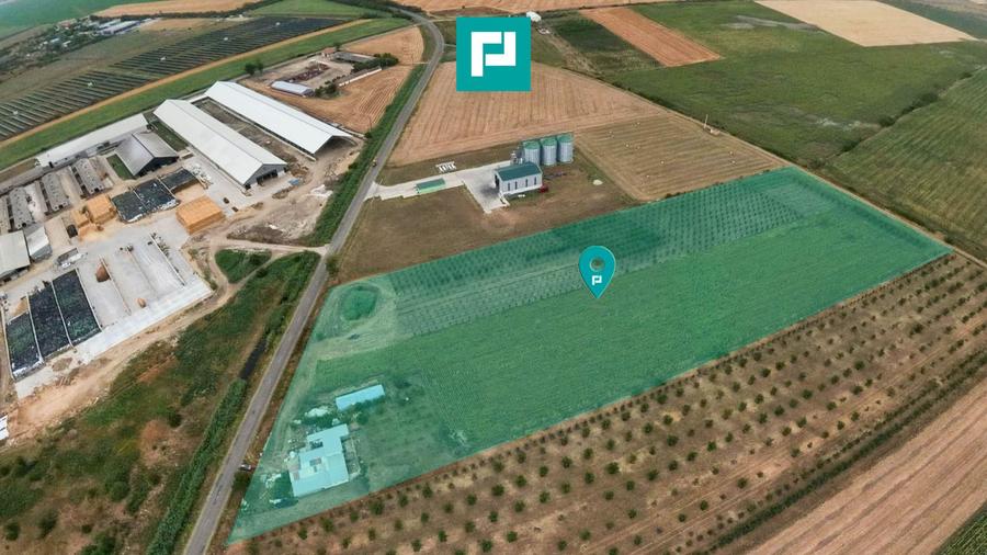 Livadă de 3,6 hectare în Iratoșu – Oportunitate
