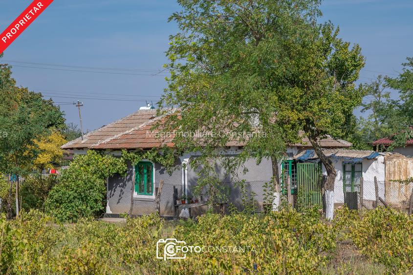 ✅Proprietar: Liniște și aer curat » Teren 2.106mp la doar 20 minute de Constanța - 21
