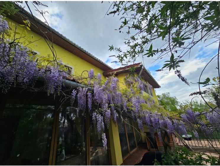 Casa unifamiliala in zona linistita, aproape de oras si autostrada