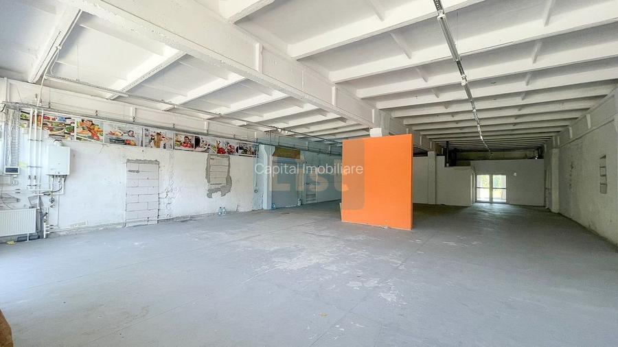 Spatii multiple pentru inchiriat Calea Timisoarei - 8
