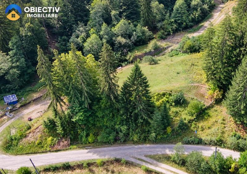 Teren intravilan 1.951 mp, Stejaru - Pangarati, jud. Neamt