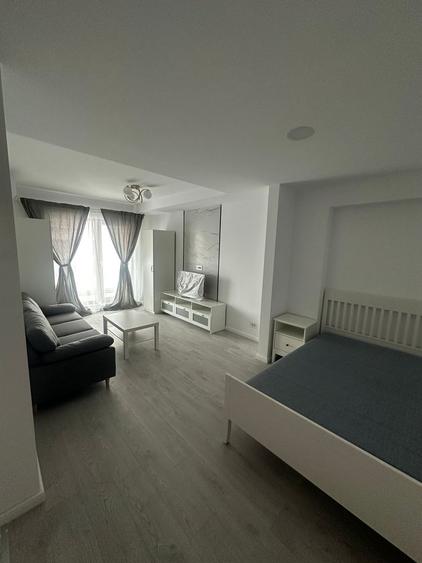 STUDIO PARCUL CAROL, PRIMA INCHIRIERE, PET-FRIENDLY, METROU 10 MINUTE