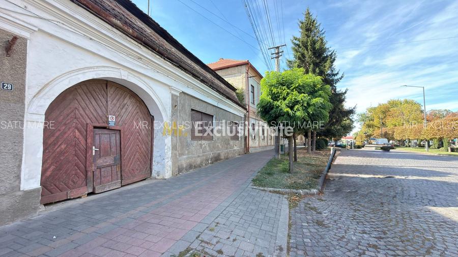 Apartament in Casă 2 camere Teren 100 mp / Str. 1 Dec. 1918 - Carei - 10