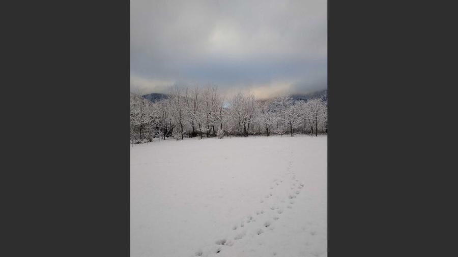 House for sale, 5 Rooms, 180 sqm, Valea Dejani