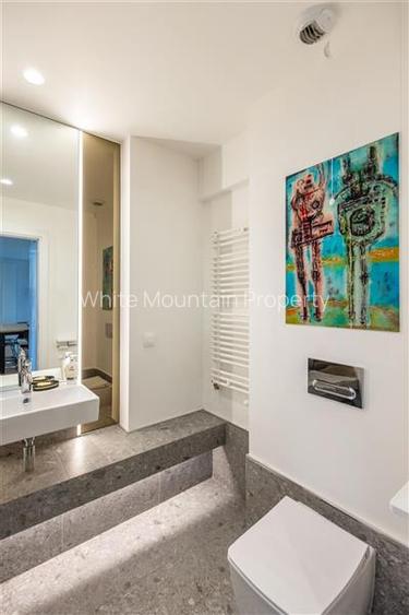 Apartament 2 camere, Aviatiei , 2 min Promenada- Mall, 10 min Baneasa Shopping C - 9
