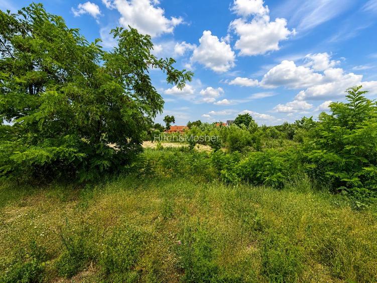 Duplex modern în Covaci, cu grădină generoasă, terasă acoperită - 28