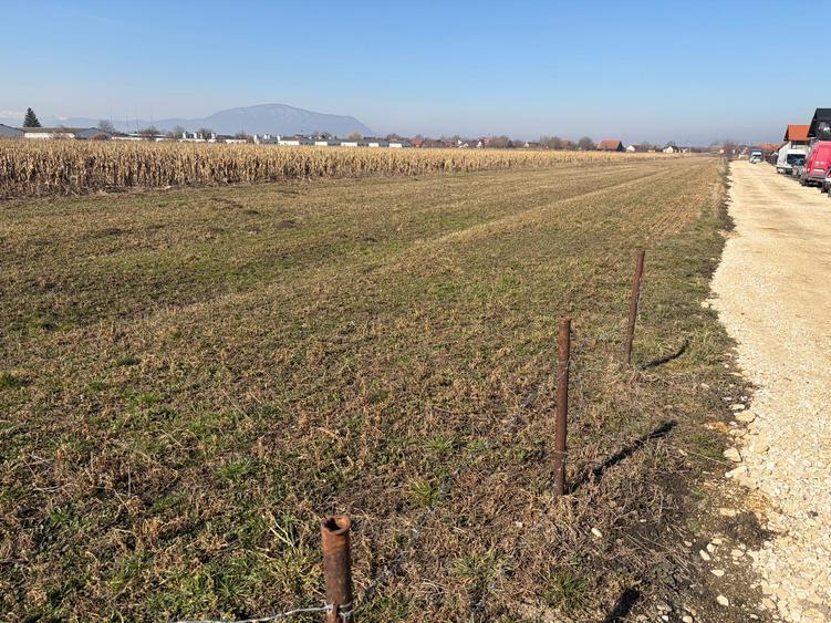 S.C Vimak Imobiliare vinde teren intravilan Stupini.