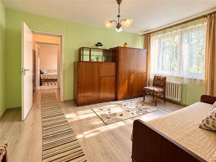 Apartament luminos,etaj2,arie linistita, oportunitate personalizare,Aleea Savine
