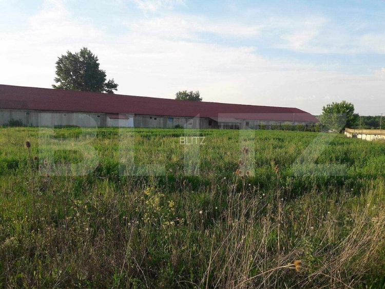 De inchiriat Hala industriala ,1200mp , langa Botiz - 6