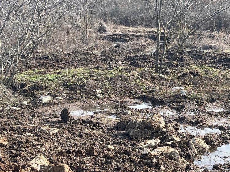Teren intravilan Buftea  cu studiu prefezabilitate BESS - 4