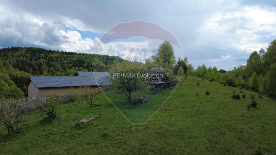 Teren 38,704mp Sirnea | 2.000 mp Intravilan | 36,704 Extravilan - 11
