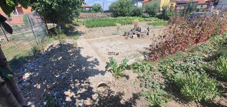Casa de vanzare 2000 mp teren Micesti