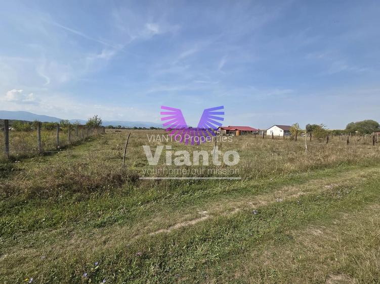 Teren extravilan 1500 mp Selimbar-langa troita